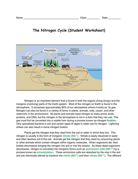 Nitrogen Cycle Questions And Answers