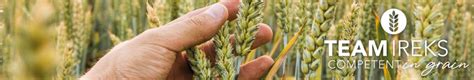 IREKS Group on LinkedIn: IREKS opened doors for future master brewers 🌾 ...