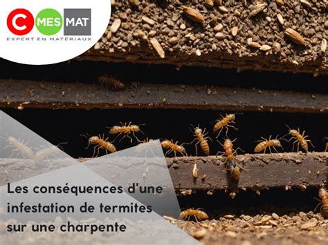 Les Cons Quences D Une Infestation De Termites Sur Une Charpente