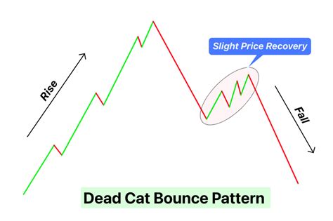 Dead Cat Bounce Pattern Explained - ForexBee