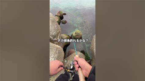 これは〇〇 かな？【穴釣り】shorts 穴釣り 海釣り Fishing 釣り初心者向け動画 鱒レンジャー 釣れる Youtube