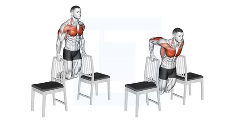 Dips Between Chairs Guide Benefits And Form