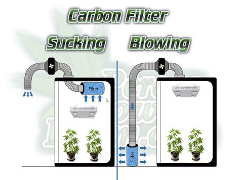 Grow Tent Ventilation Setup -How to Setup An Exhaust