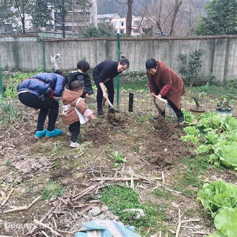 抗击疫情 巾帼行动 重庆城口鸡鸣巾帼防“疫”春耕两不误！澎湃号·政务澎湃新闻 The Paper