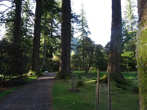 Benmore Botanic Garden 2024 Visitor Info | Secret Scotland