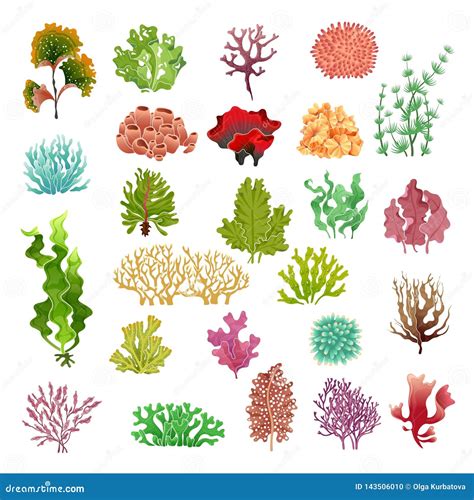 Coral And Seaweed Underwater Flora Sea Water Seaweeds Aquarium Game