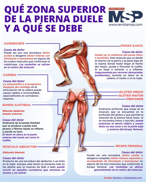 Qu Zona Superior De La Pierna Duele Y A Qu Se Debe Infograf A