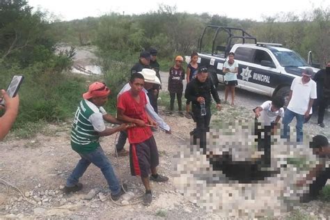 Suspenden a 5 policías por no impedir tortura de oso Mis Noticias Mx