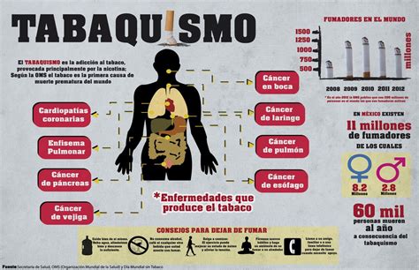 Infografía Tabaco efectos en el organismo on Behance Infografia