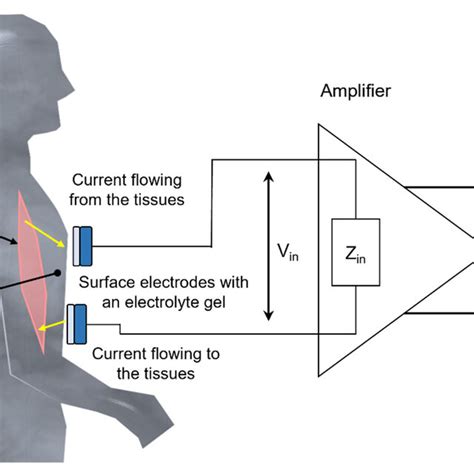 Biopotential Signal Measurement Schematic Representation Zin Is The