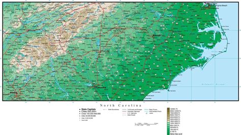 Digital North Carolina Contour Map In Adobe Illustrator Vector Format