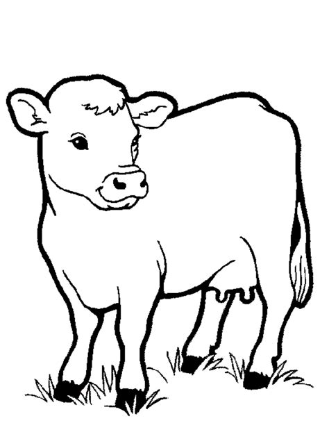 Coloring Pages For Cows 8