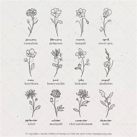 Birth Month Flowers SVG PNG Clipart Carnation Primrose Etsy Australia