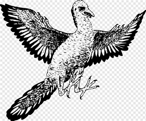 Ave Alas Antiguo Extinto Archaeopteryx Plumas Prehist Rico Png