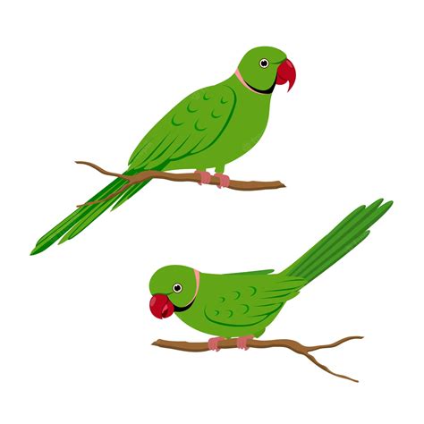 Clip Art Of Parrot Clip Art Library Clip Art Library