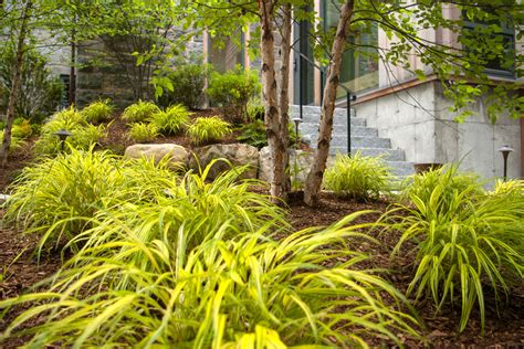 How to Design a Low Maintenance Garden | a Blade of Grass | Boston ...