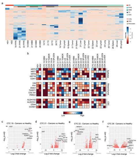 Bulk Rna Sequencing On Cultured Ctcs And Cdx Tissues Shows