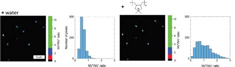 Fluorescence Lifetime Imaging Flim Picoquant