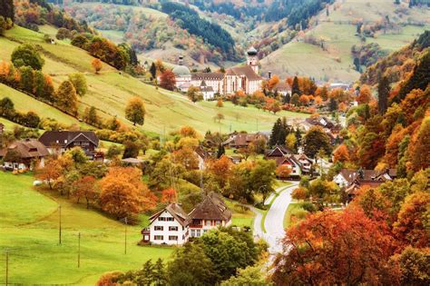 The Best Drives To See Fall Foliage In Europe Drive Europe Triberg