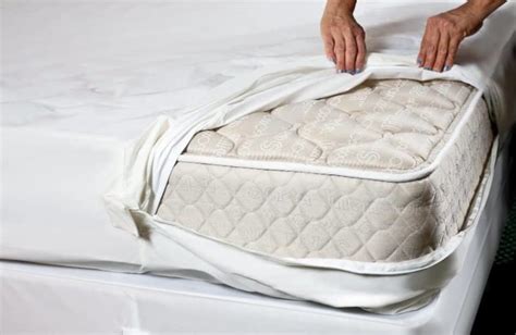 Best Bed Bug Mattress Cover Reviews 2020 - Consumer Guides