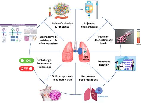 Perioperative Treatment Strategies In EGFR Mutant Early Stage NSCLC