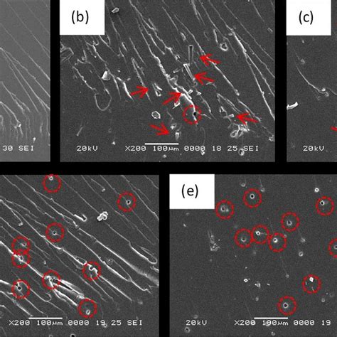 Sem Images Of Fracture Surface Of Different Samples A Pure Epoxy