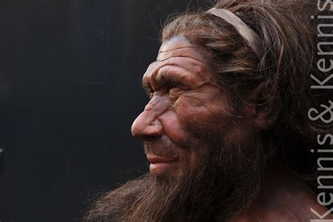 Neanderthal Spy Nhm Kennisandkennis Reconstructions