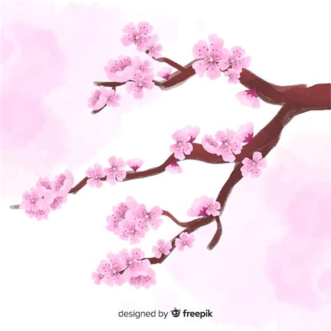 Fond De Branche Aquarelle Fleur De Cerisier Vecteur Gratuite