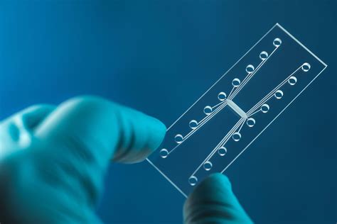 Microfluidics For Single Cell Analysis Workshop Of Photonics Wop