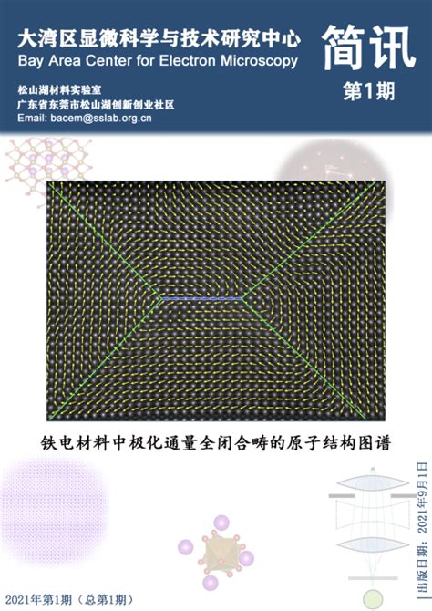 大湾区显微科学与技术研究中心