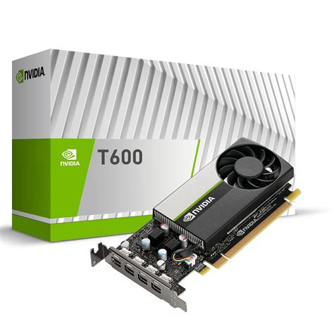 PNY NVIDIA T600 Professional Graphic Card 4GB GDDR6 PCI Express 3.0 x16 ...
