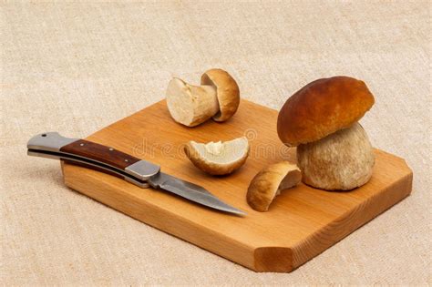 Boletus Edulis Mushrooms On Cutting Board Stock Image Image Of