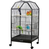 Best 6 Parrotlet Cages With Ideal Size, Design & Use Guide