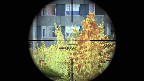 Dayz Stnk Sniper Nacht Catfish N Ne Youtube