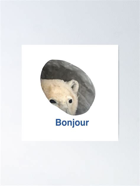 "Bonjour - Polar Bear Meme" Poster for Sale by LeenoTasseri10 | Redbubble