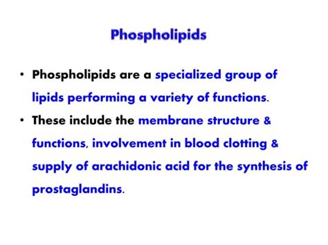 SYNTHESIS OF PHOSPHOLIPIDS