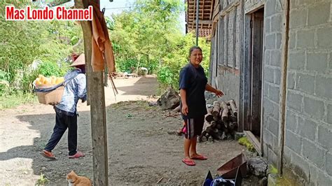 Akirnya Pohon Asem Samping Rumah Mak Tumini Di Tebang Juga Buka Buka