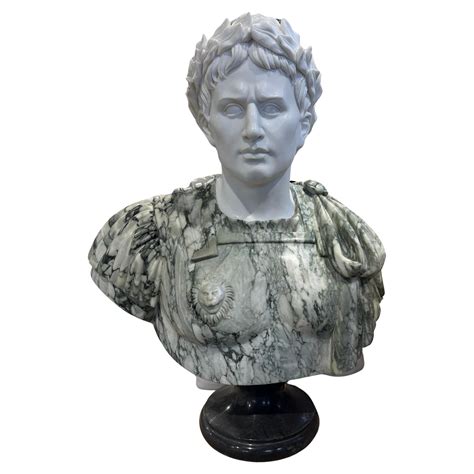 Classical Style Two Tone Marble Bust For Sale At Stdibs