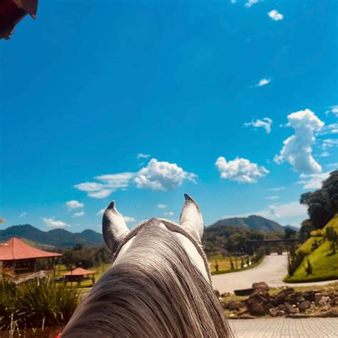 Haras Dos Anjos - Haras Dos Anjos (@harasdosanjos) • Instagram photos and videos