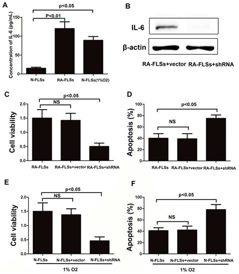 The Expression Of Il Was Up Regulated Not Only In Ra Flss But Also In