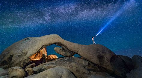 Joshua Tree National Park Is Turning 25 Heres How To Celebrate