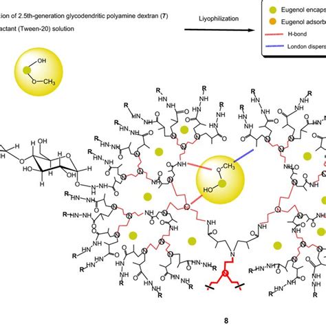 Reaction scheme for the synthesis of eugenol-encapsulated... | Download ...