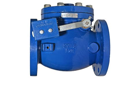 Model Lw Swing Check Valve With Lever Flomatic Valves