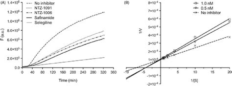 A Reactivation Of Recombinant Human Mao B Enzyme By Irreversible