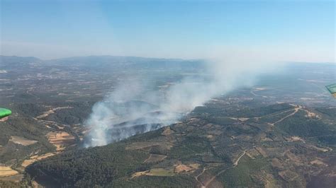 İzmir in Bergama ilçesinde çıkan orman yangını kontrol altında Son