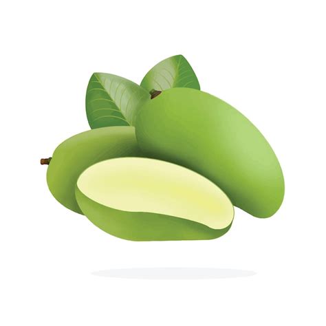 Premium Vector Set Of Fresh Green Mango Fruits Whole Half And Slices