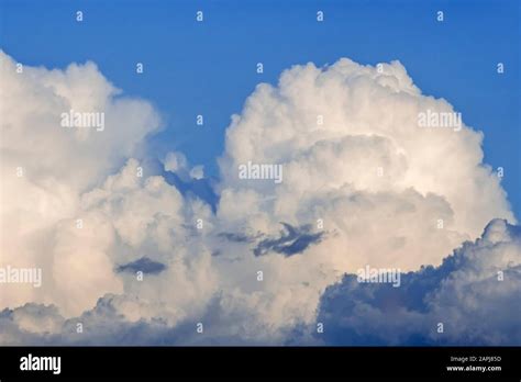 Developping Cumulus congestus cloud also known as towering cumulus ...