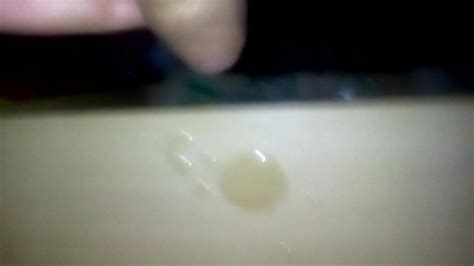 Spricc Gay Man Porn Xhamster