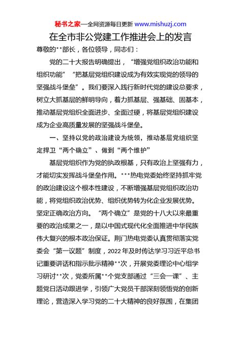 在全市非公党建工作推进会上的发言 讲话致辞 文档中心 秘书之家写作素材库