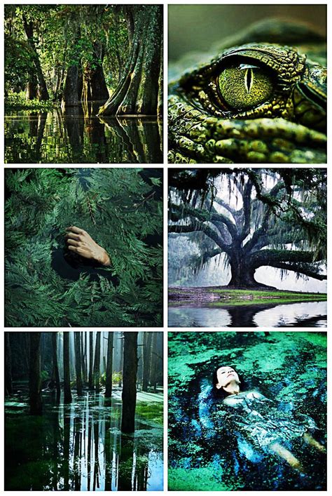 Stormwaterwitch Swamp Witch Aesthetic Requested Elf Daughter Of